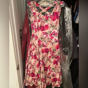 Hot Topic Hearts and Roses Pink Floral Dress Size 6